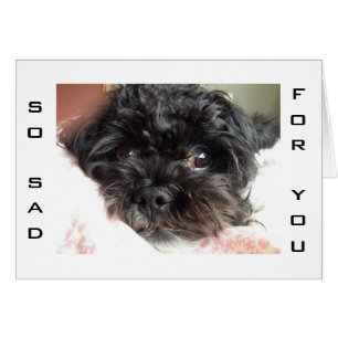 EL PERRO POBRE ES TAN TRISTE QUE ESTÁS CUMPLIENDO 