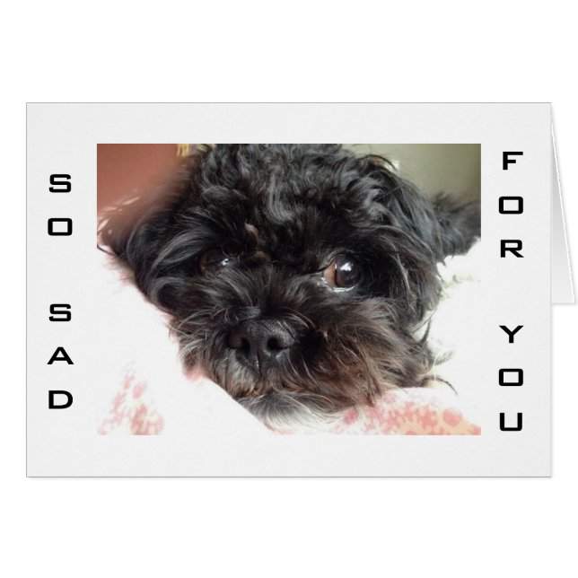 EL PERRO POBRE ES TAN TRISTE QUE ESTÁS CUMPLIENDO  (Anverso (Horizontal))