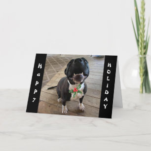 **EL PERRO QUIERE MALESTAR NAVIDAD Y UN HUESO** EN