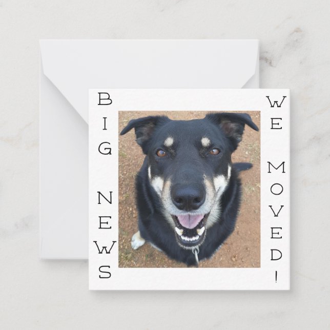 ¡El perro se ha vuelto feliz! Postal (Anverso)