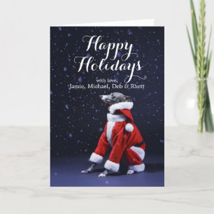 El perro se sienta a ponerle Navidad al padre