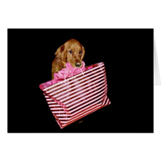 El perro va de compras