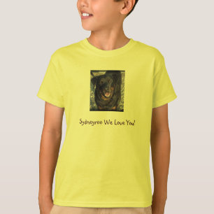 El personalizable embroma la camiseta