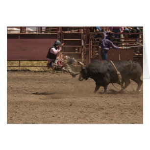 El piloto de toros se levanta por aire