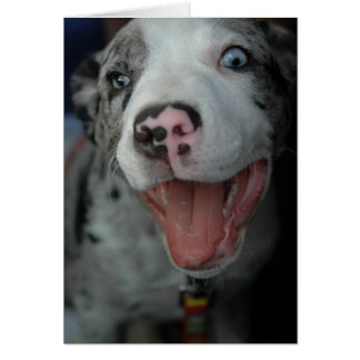 El placer más grande