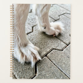 El planificador de los Goofy Grinch Paws