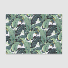 El plátano sale palma del papel seda tropical 10lb