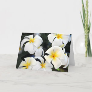 El Plumeria de Hawaii florece la tarjeta de