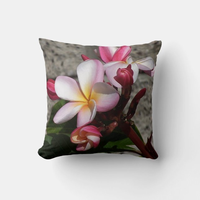El Plumeria florece la almohada (Anverso)