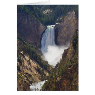 El poder de Yellowstone