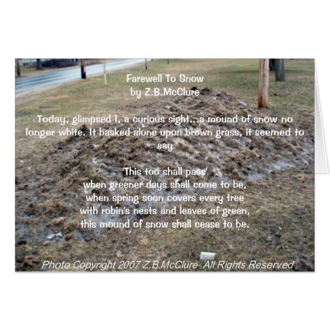 el poema del snowbird (Anverso (Horizontal))