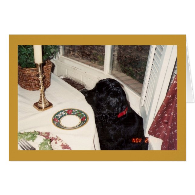 el pollo grande del pedazo o (Anverso (Horizontal))