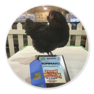 El pomo de pollo campeón de la noche de Norteaméri