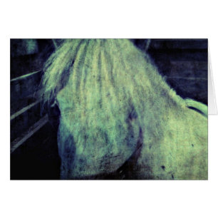 El Pony