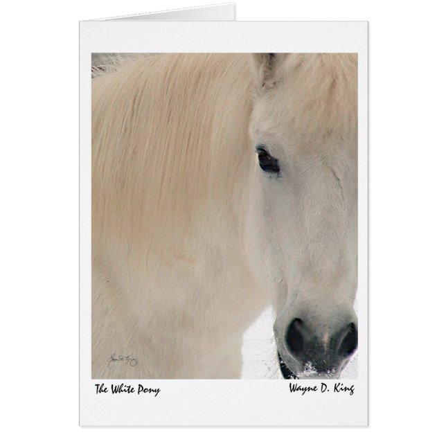 El Pony Blanco (Frente)