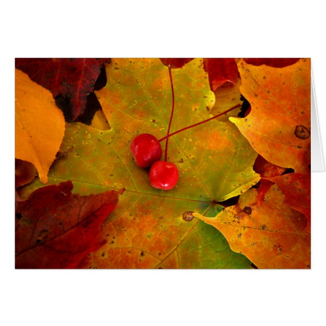 El pórtico II del esmeril (Anverso (Horizontal))