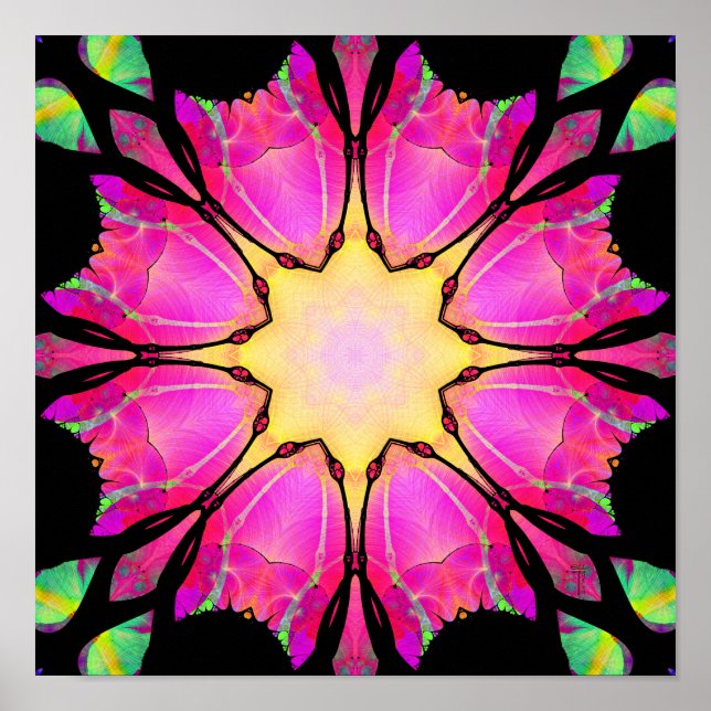 El Poster de impresión artística Star (12" x 12") (Frente)