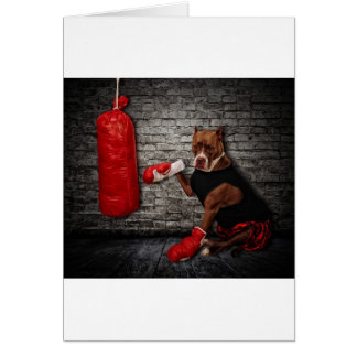 El pozo de boxeo