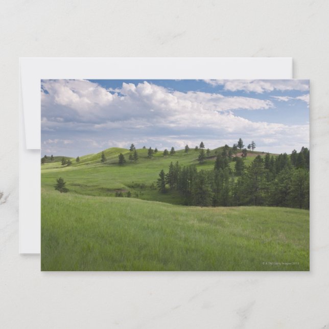 El prado en el Parque Estatal Custer (Anverso)