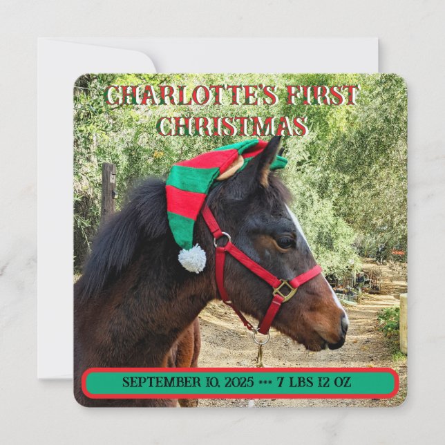 El primer anuncio de nacimiento de Navidad del beb (Anverso)