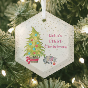 El primer ornamento de vidrio de Navidad del gato