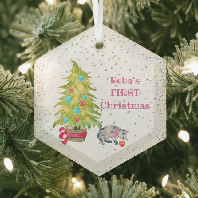 El primer ornamento de vidrio de Navidad del gato (in situ)