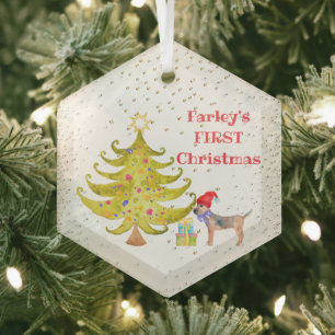 El primer ornamento de vidrio de Navidad para perr