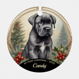 El primer ornamento Metalizado de Navidad de Cane 
