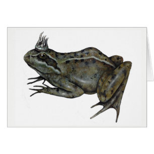 El príncipe de la rana