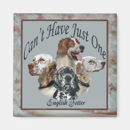 el programador inglés no puede tener un solo imán