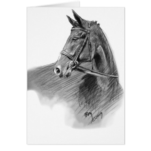 "El puente " (Frente)