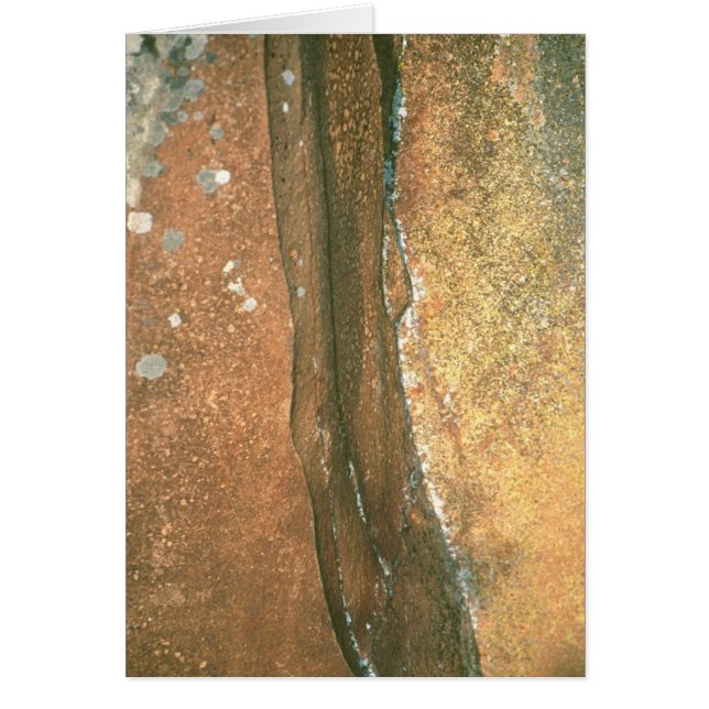 El punto #1 del artista (Frente)