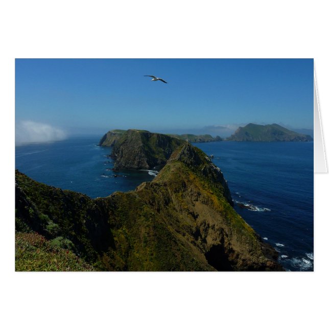El punto de inspiración de Anacapa en las Islas de (Anverso (Horizontal))