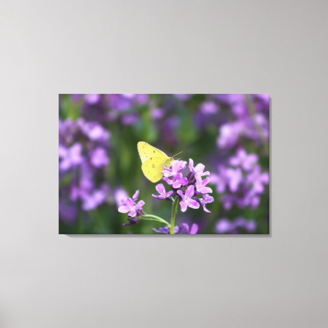 El que destaca el arte fotográfico mariposa (Anverso)
