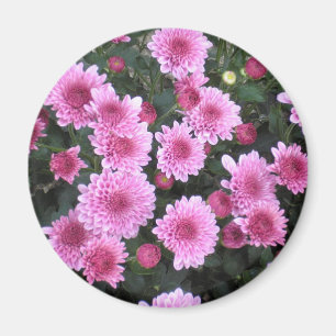 El ramo de la naturaleza: Imán de la primavera