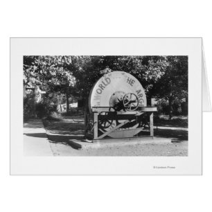 El rancho de búfalos más grande del mundo