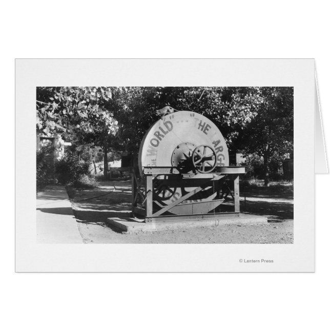 El rancho de búfalos más grande del mundo (Anverso (Horizontal))