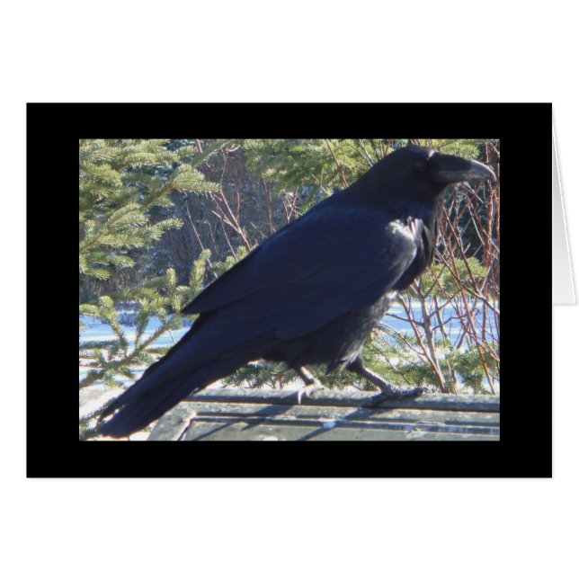 el Raven (Anverso (Horizontal))