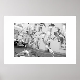 El rebaño - Impresión enmarcada