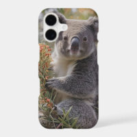 "El refugio del koala: Anidado en un árbol de Grev