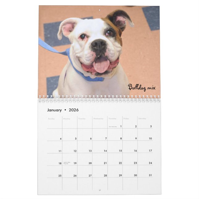 El refugio persigue el calendario (Jan 2026)