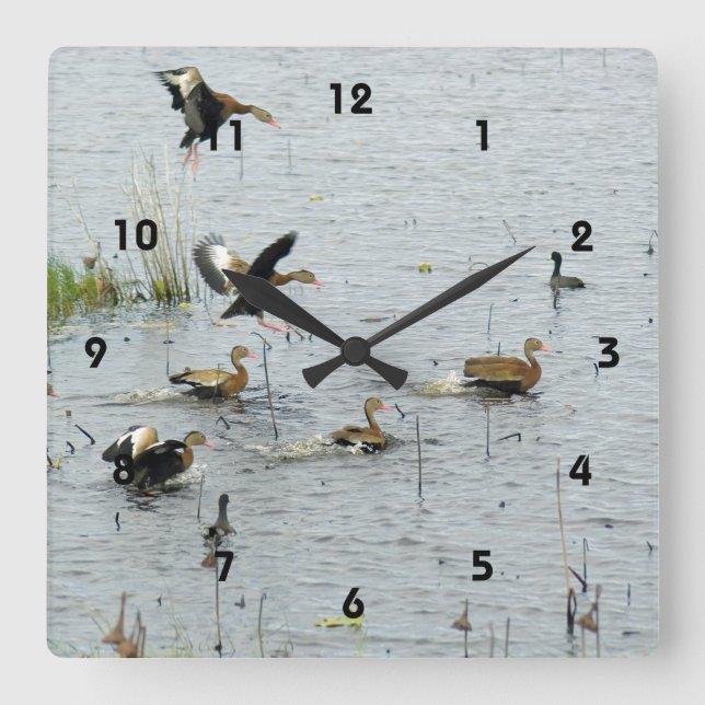 El reloj de pared acrílico de los patos (Anverso)