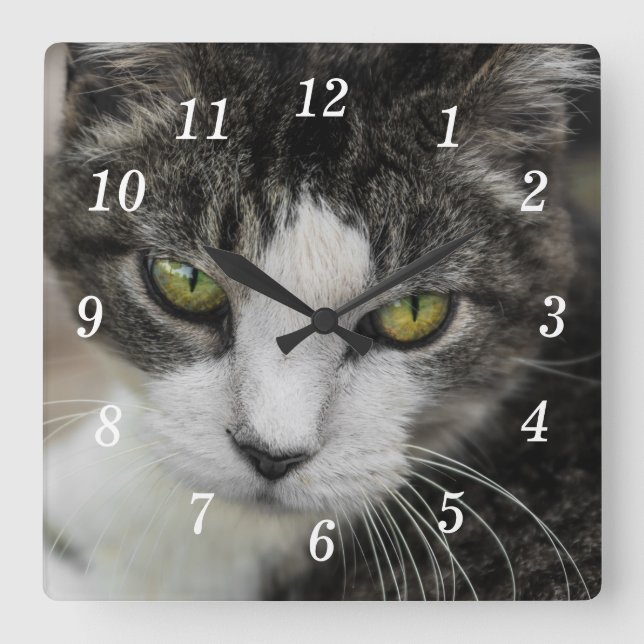 El reloj de pared de aspecto del bebé (Anverso)