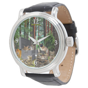 El reloj del gato de Schrodinger
