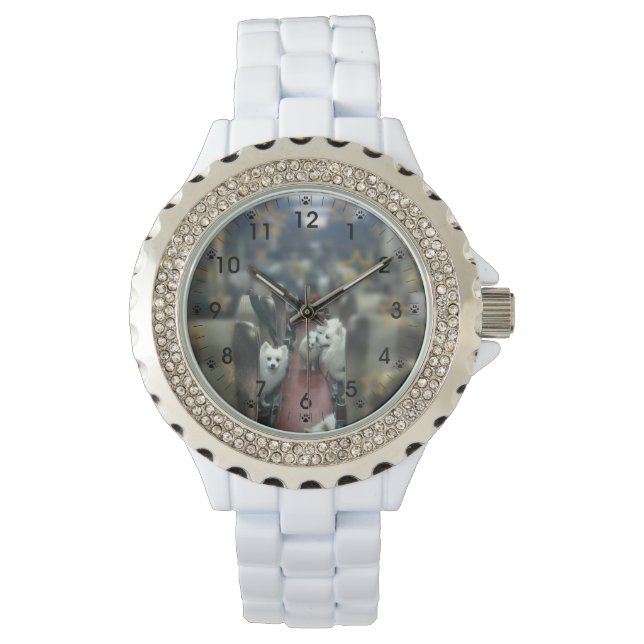 El reloj del tren del perro (Anverso)