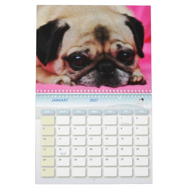 El rescate persigue el calendario II (Jan 2027)