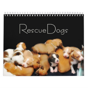 El rescate persigue el calendario II