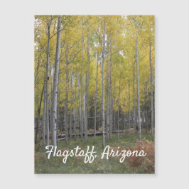 El resplandor amarillo de Aspen