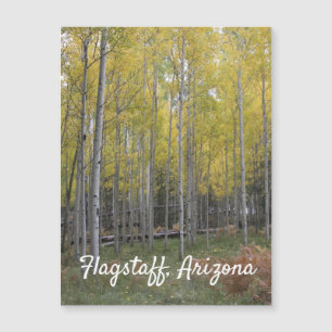 El resplandor amarillo de Aspen