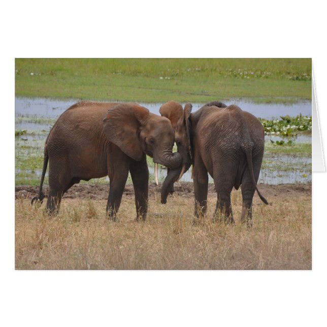 El retozar alrededor (Anverso (Horizontal))